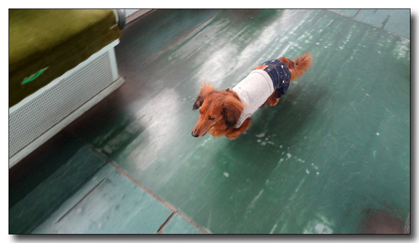 20130408074738.jpg
