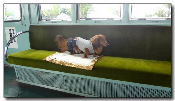 20130408074811.jpg