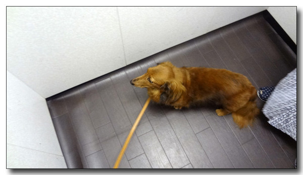 20130408075413.jpg