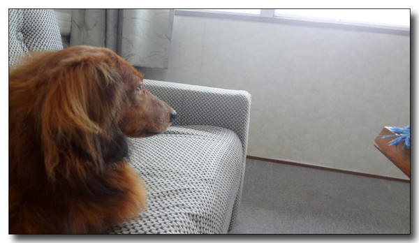 20130408075441.jpg