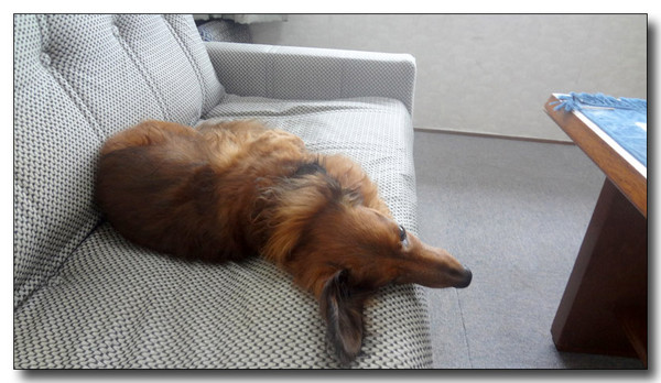 20130408075442.jpg