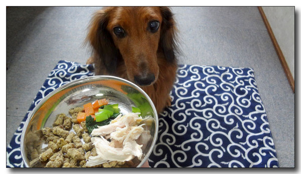 20130408092201.jpg