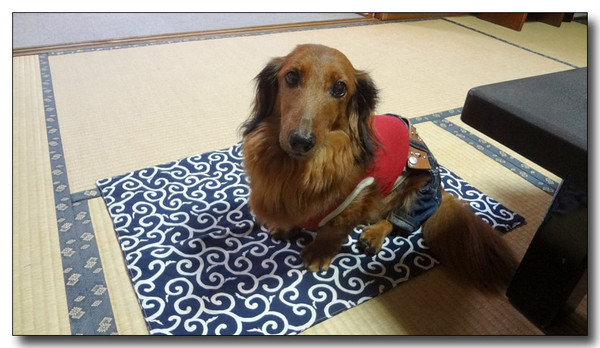 20130408114321.jpg