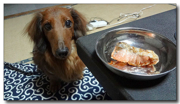20130408114433.jpg