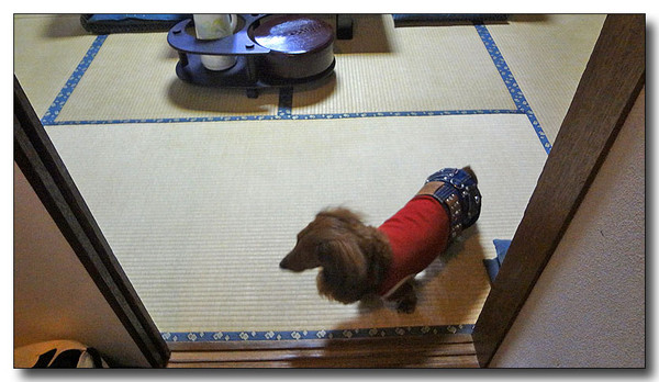 20130408130234.jpg