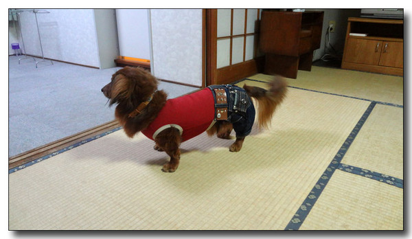 20130408130235.jpg