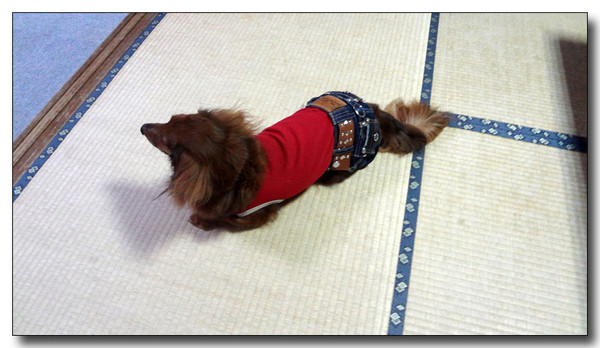 20130408130308.jpg