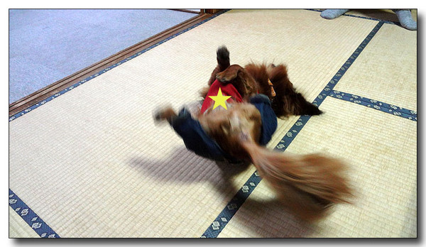 20130408130310.jpg