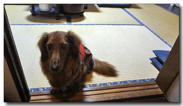 20130408130316.jpg