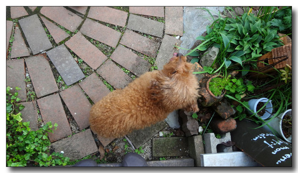 20130408140548.JPG