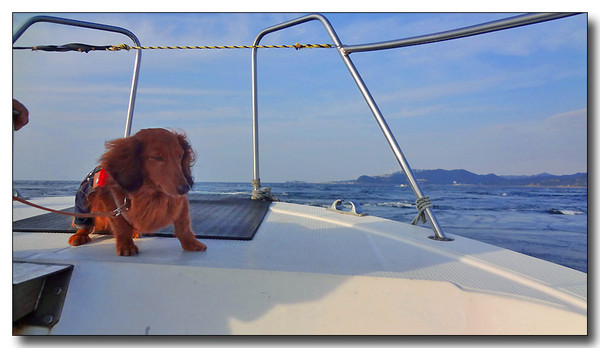 20130409023427.jpg
