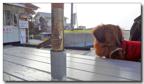 20130409023701.jpg
