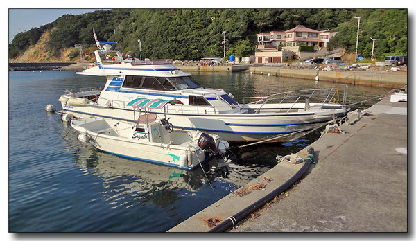 20130409024230.JPG