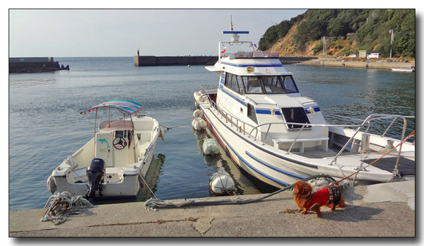 20130409024231.jpg