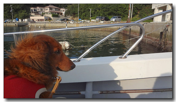 20130409024234.jpg