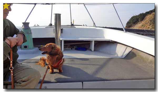 20130409024258.jpg