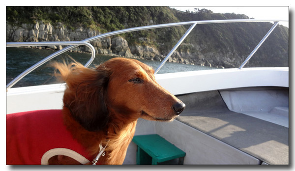 20130409024323.jpg