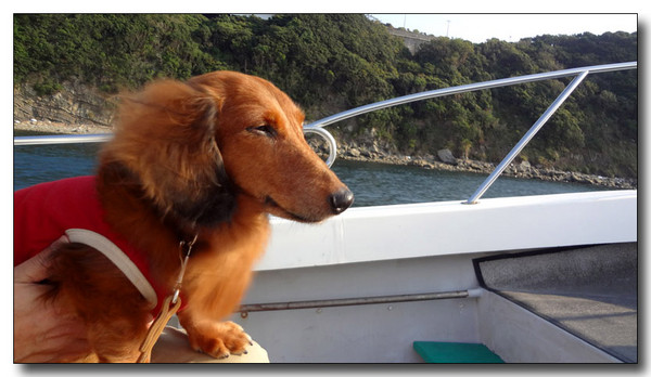 20130409024324.jpg