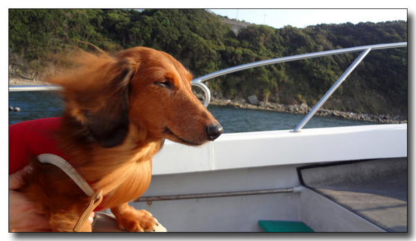 20130409024325.jpg