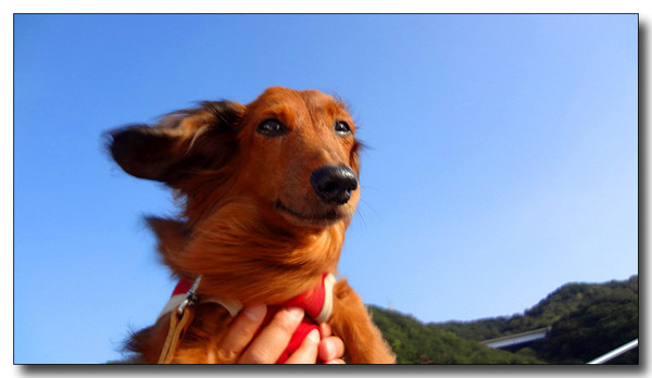 20130409024344.jpg