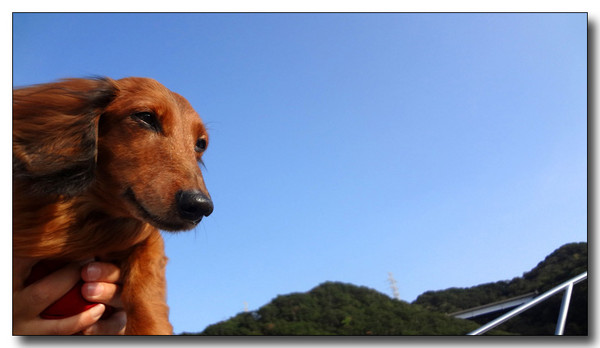 20130409024345.jpg
