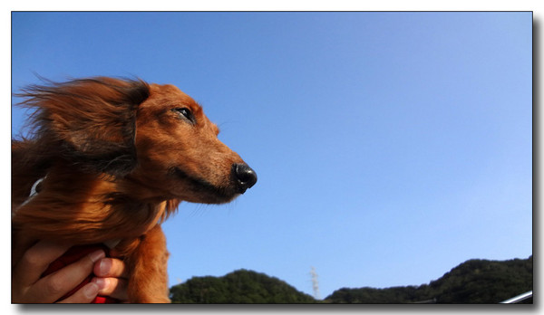 20130409024346.jpg
