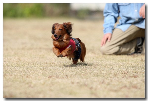 20130409093719.jpg