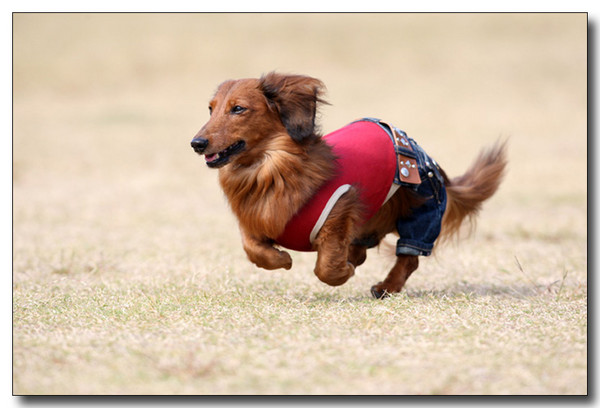 20130409093721.jpg