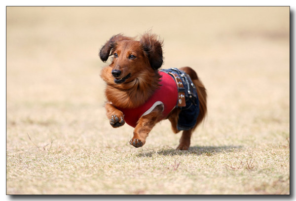 20130409093723.jpg
