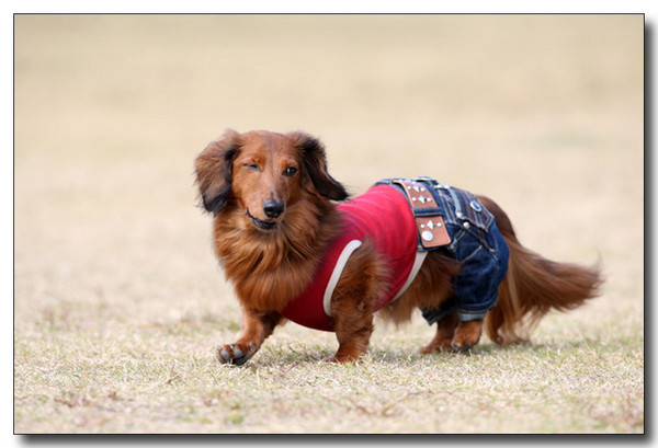 20130409093724.jpg