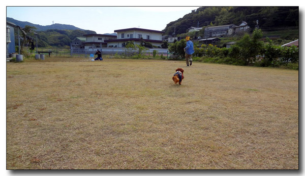 20130409095322.jpg 20130409095322.jpg
