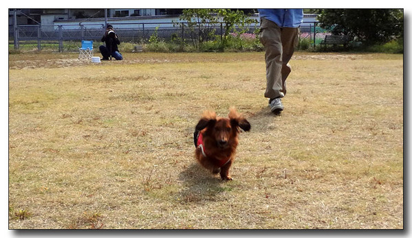 20130409095323.jpg 20130409095323.jpg