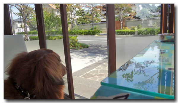 20130409220740.jpg