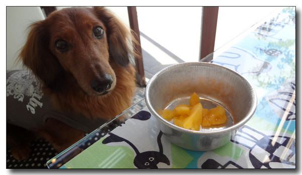 20130409220907.jpg