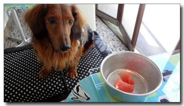 20130409220908.jpg