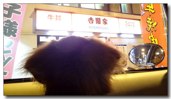 20130409220918.jpg