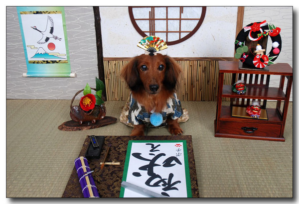 20130410122047.jpg