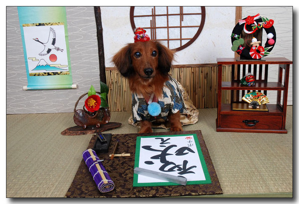 20130410122048.jpg