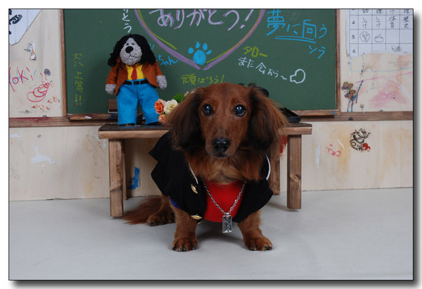 20130410143746.jpg