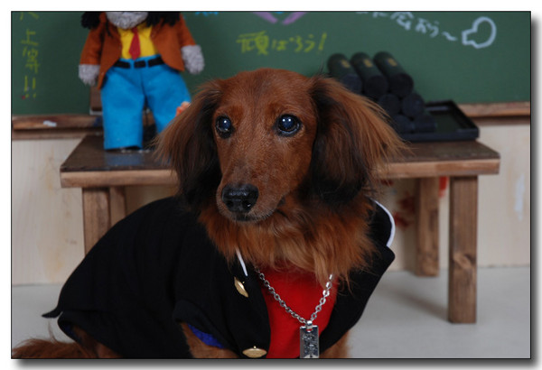 20130410143748.jpg