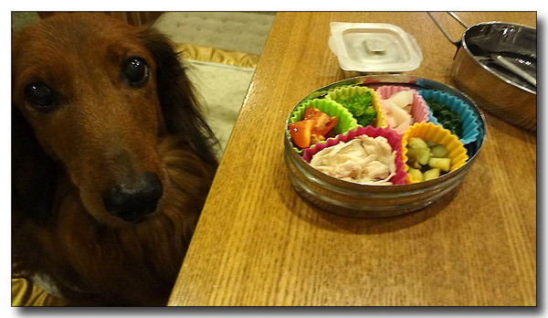 20130410162544.jpg