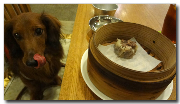 20130410162546.jpg