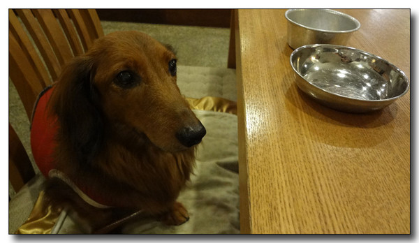 20130410162549.jpg