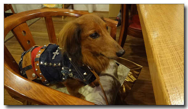 20130410162632.jpg