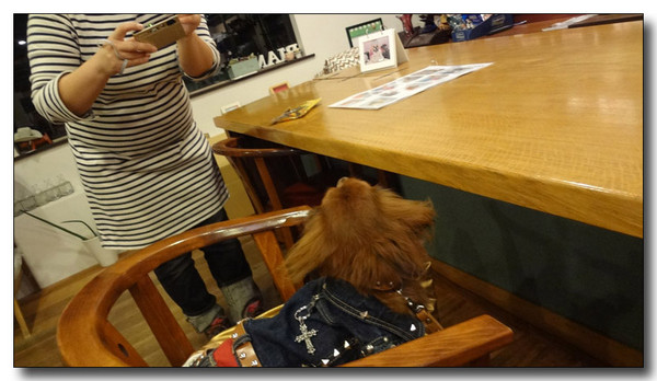 20130410162633.jpg