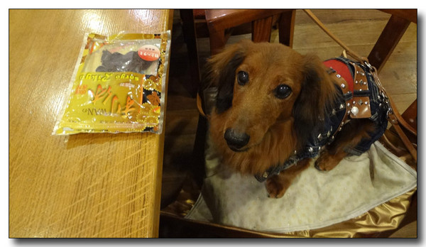 20130410162636.jpg