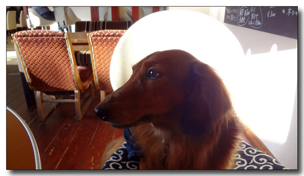 20130410182128.jpg