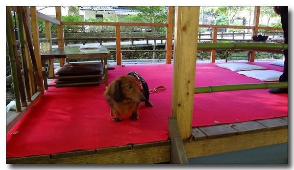 20130410200231.jpg