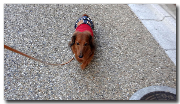 20130410201416.jpg