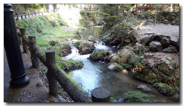 20130410201418.JPG